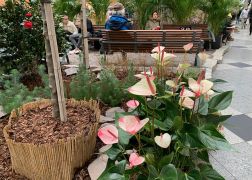 Fruehling In Der Goethe Galerie Jena 000010